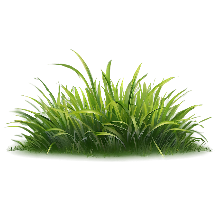 Cartoon Grass Outline Png 10 PNG Image