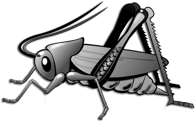 Cartoon Grasshopper Illustration PNG Image