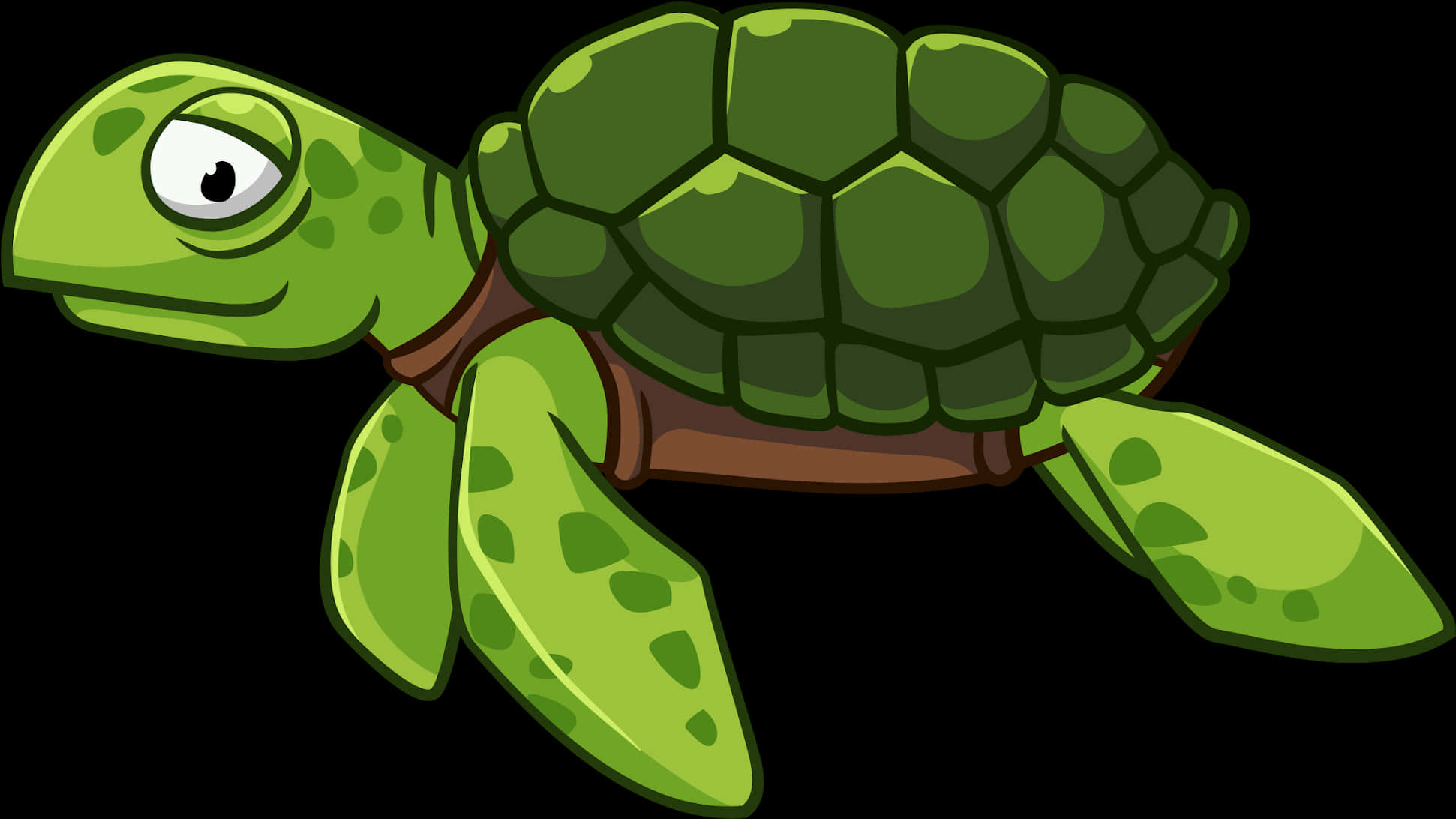 Cartoon Green Turtle Illustration PNG Image