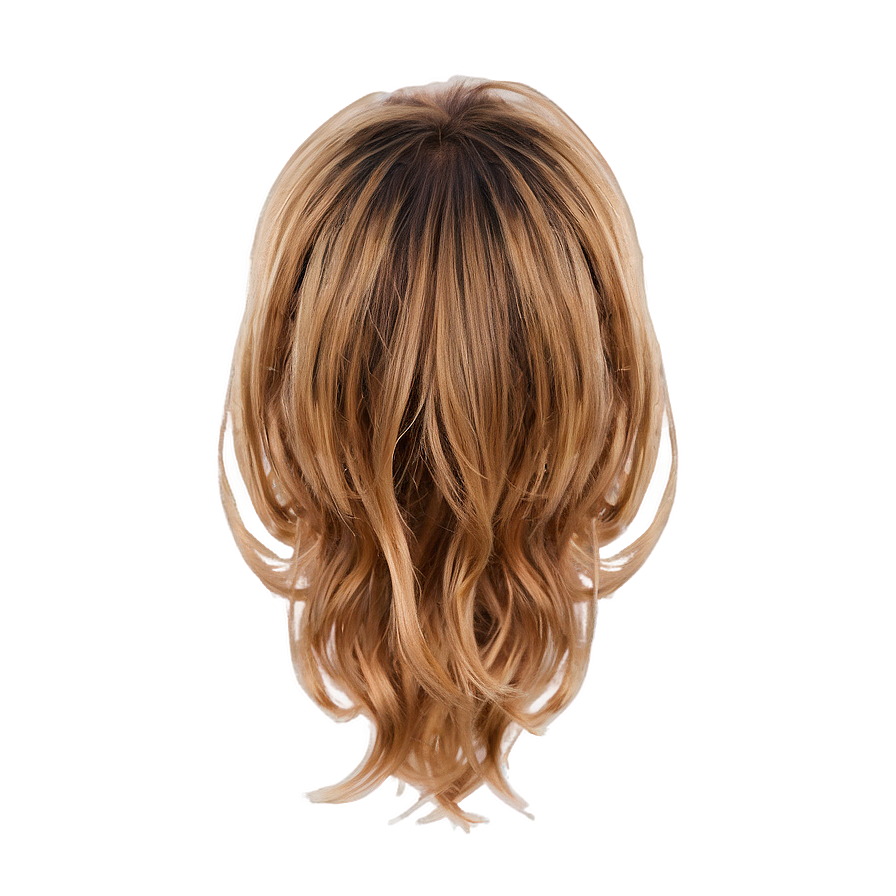 Cartoon Hair Top View Png Lhp41 PNG Image