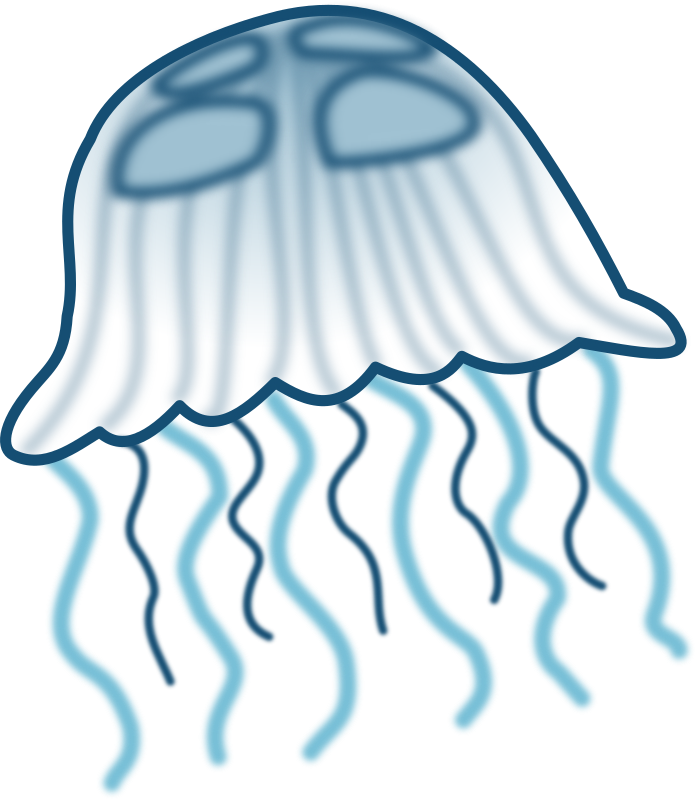 Cartoon Jellyfish Illustration PNG Image