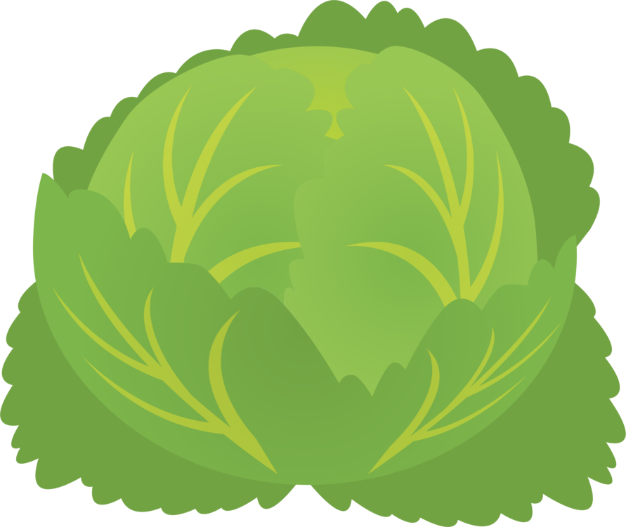 Cartoon Lettuce Graphic PNG Image