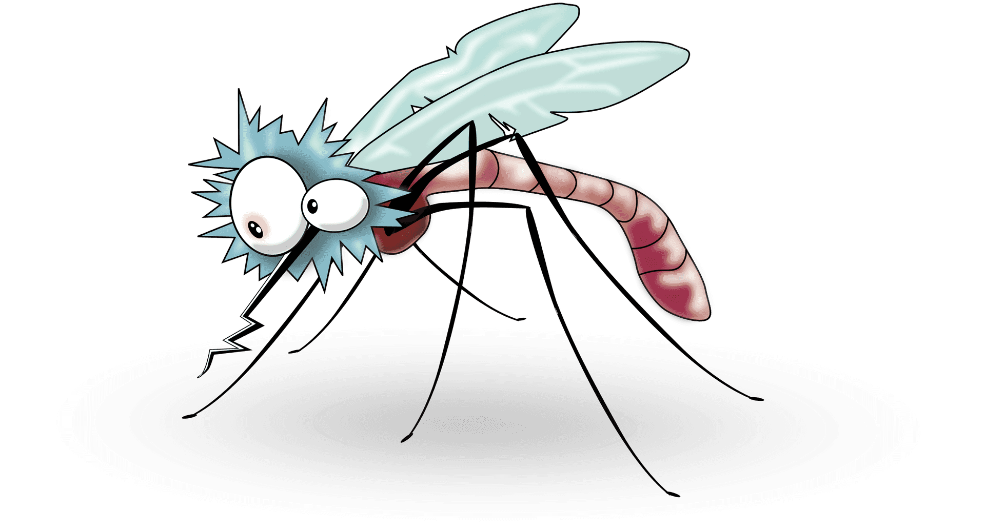 Cartoon Mosquito Illustration PNG Image