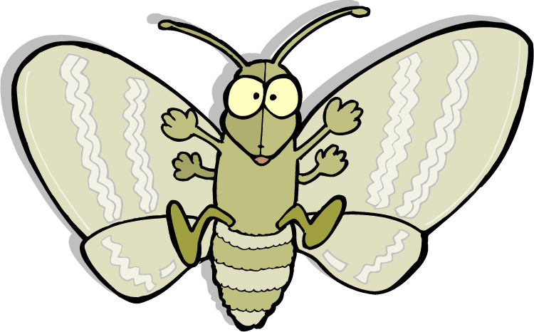 Cartoon Moth Illustration PNG Image