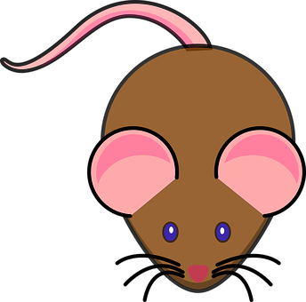 Cartoon Mouse Graphic PNG Image