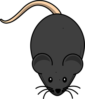 Cartoon Mouse Top View Illustration PNG Image