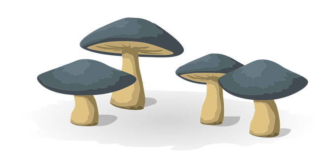 Cartoon Mushroomson Black Background PNG Image