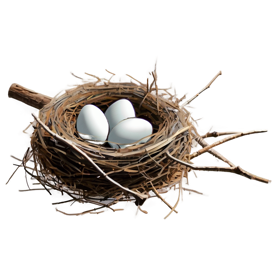 Cartoon Nest Drawing Png Nis PNG Image