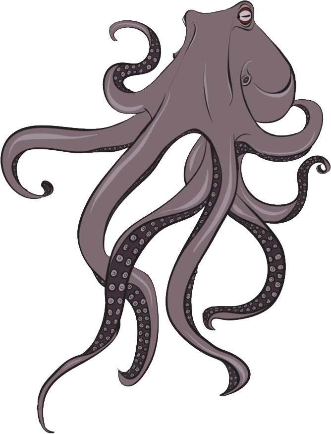 Cartoon Octopus Illustration PNG Image