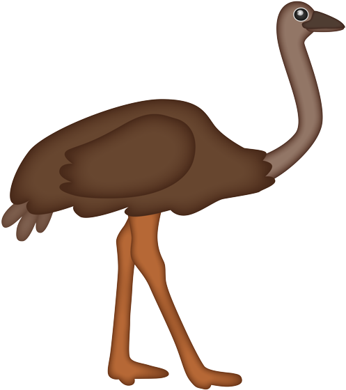 Cartoon Ostrich Illustration PNG Image