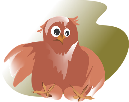 Cartoon Owl Vector Illustration PNG Image