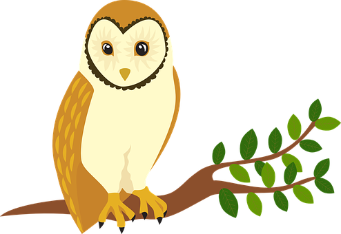 Cartoon Owlon Branch PNG Image