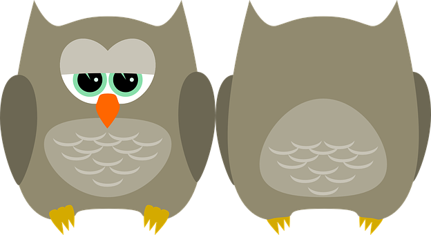 Cartoon Owls Sideby Side PNG Image