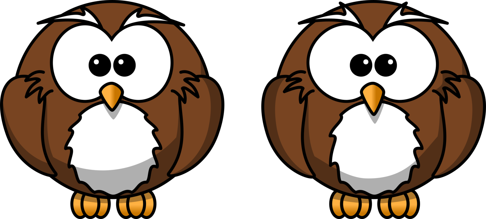 Cartoon Owls Twin Expression PNG Image