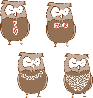 Cartoon Owlsin Different Styles PNG Image