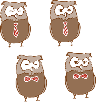 Cartoon Owlsin Ties PNG Image