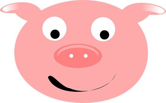 Cartoon Pig Face Graphic PNG Image