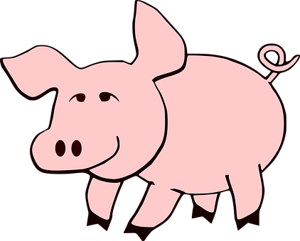 Cartoon Pig Illustration PNG Image