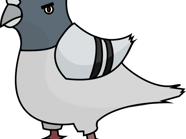 Cartoon Pigeon Illustration PNG Image