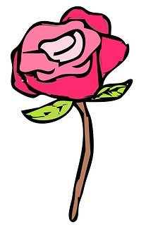 Cartoon Pink Rose Illustration PNG Image