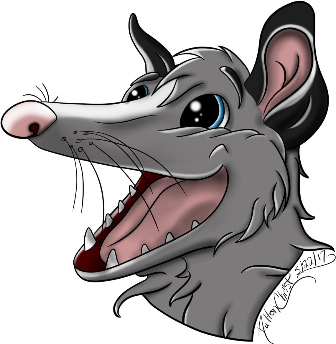 Cartoon Possum Portrait PNG Image