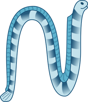 Cartoon Sea Eel Illustration PNG Image