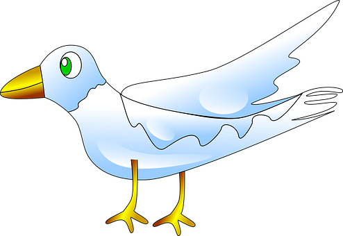 Cartoon Seagull Illustration PNG Image