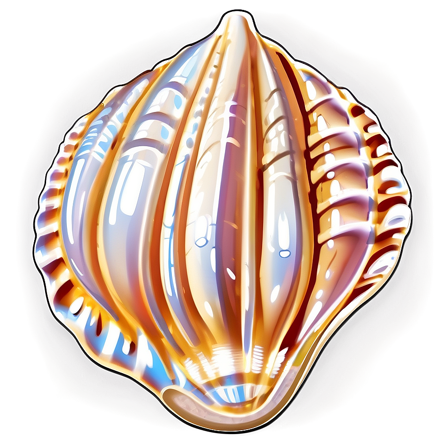 Cartoon Seashell Clipart Png 71 PNG Image