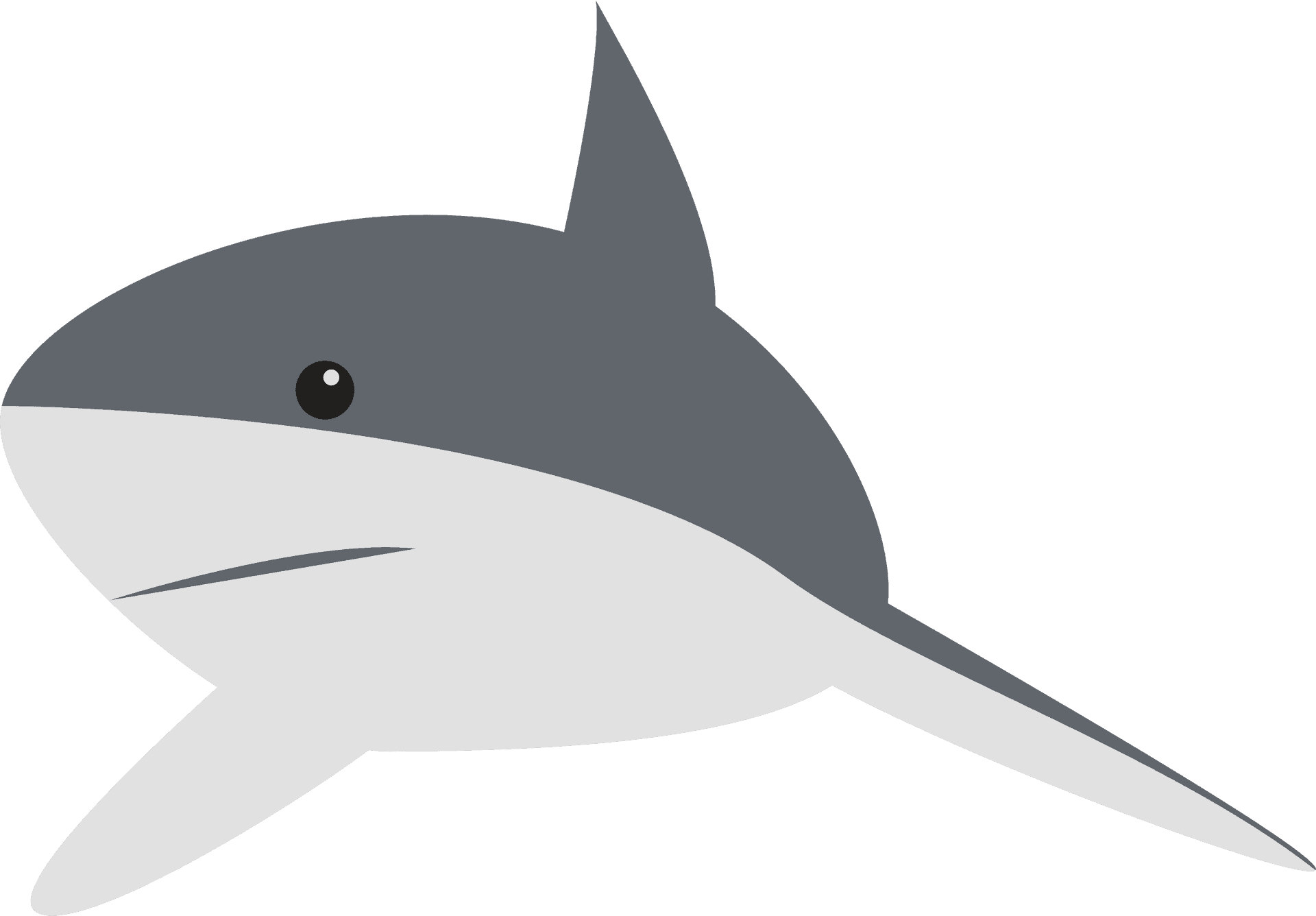 Cartoon Shark Illustration PNG Image