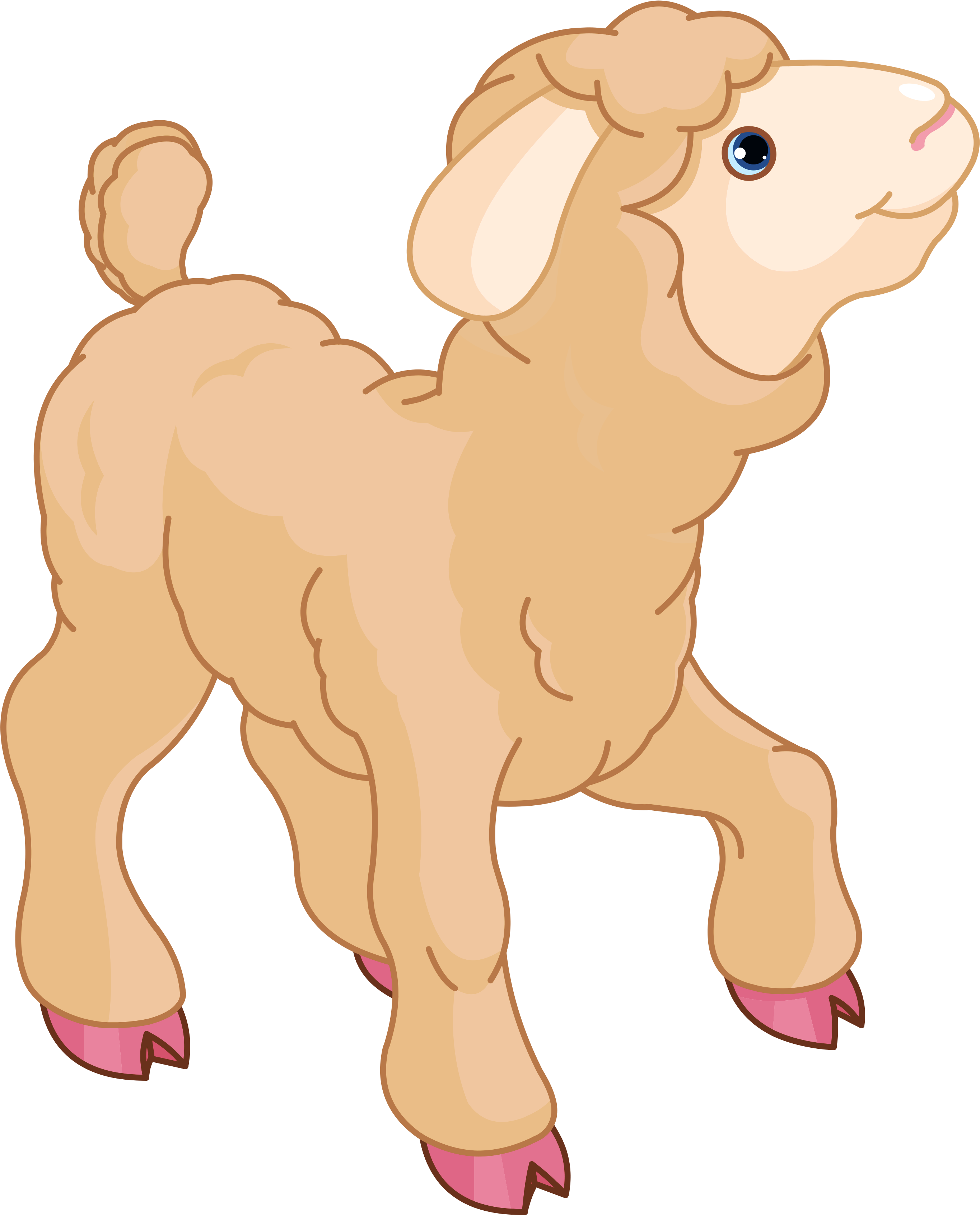 Cartoon Sheep Illustration PNG Image