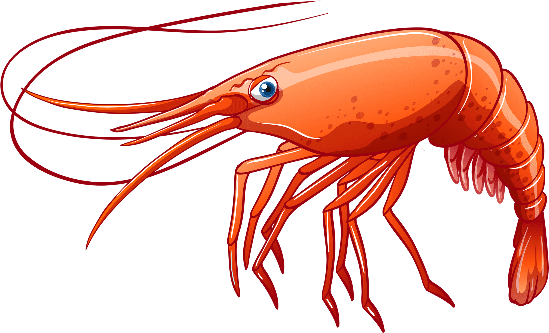 Cartoon Shrimp Illustration PNG Image