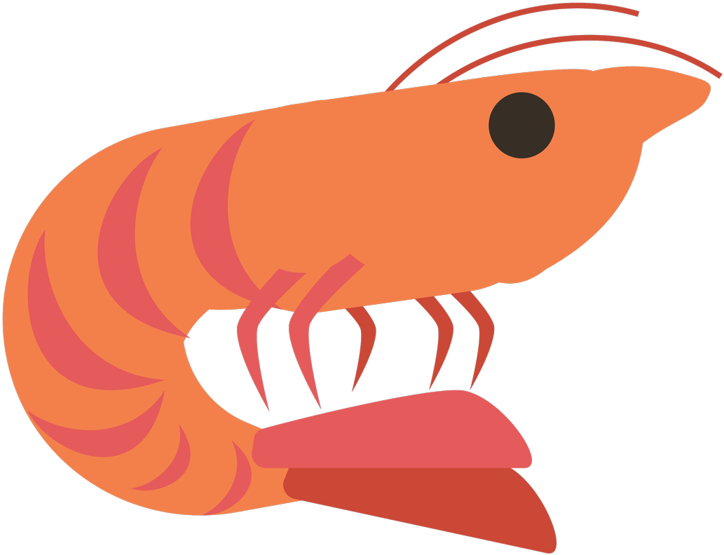 Cartoon Shrimp Illustration PNG Image