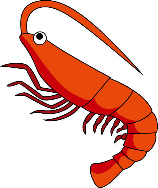 Cartoon Shrimp Illustration PNG Image