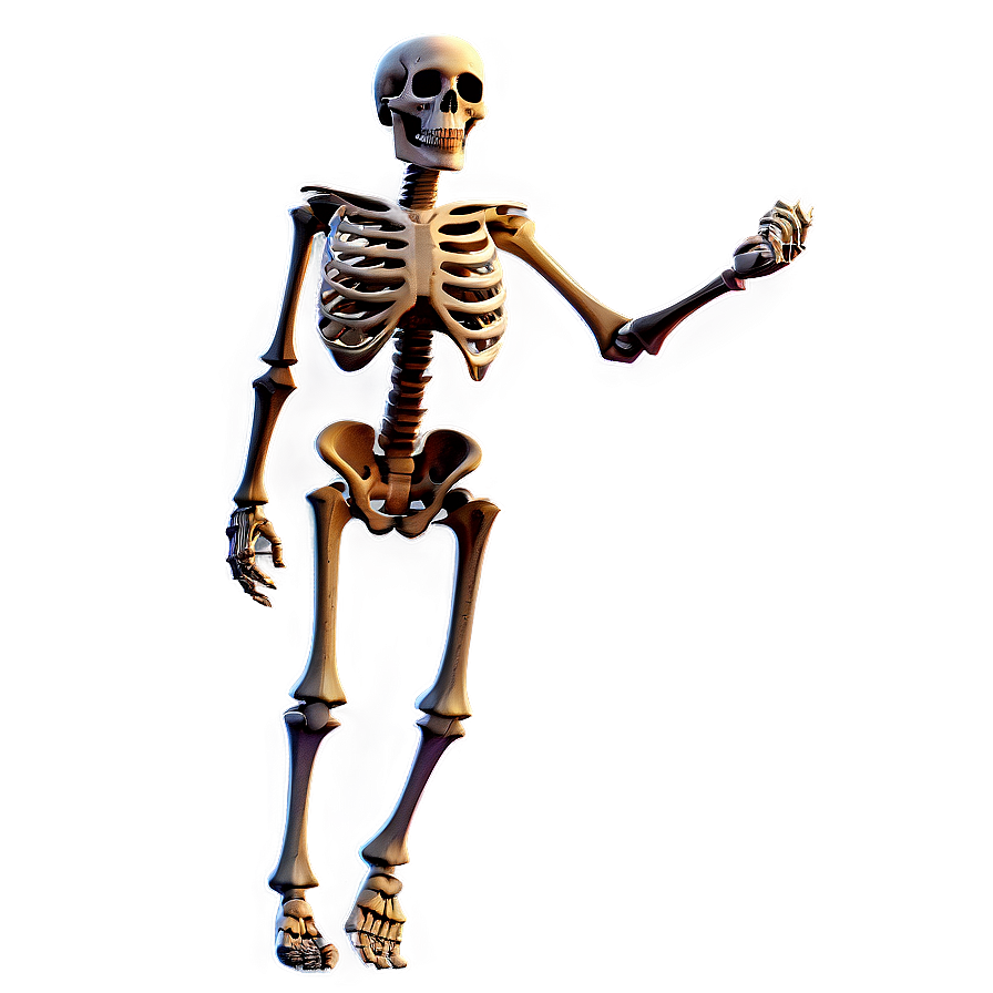 Cartoon Skeleton C PNG Image