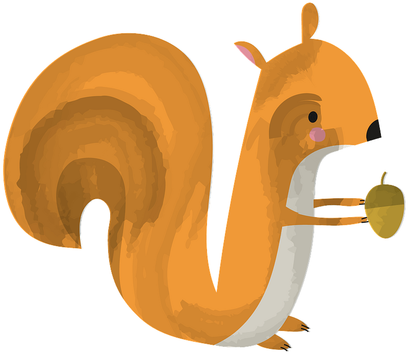 Cartoon Squirrel Holding Acorn PNG Image