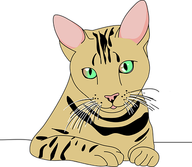 Cartoon Tabby Cat Illustration PNG Image