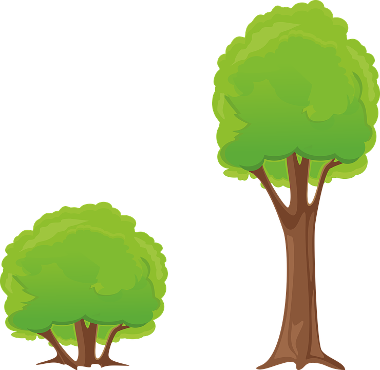 Cartoon Trees Illustration PNG Image