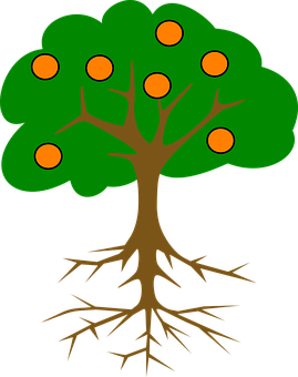 Cartoon Treewith Rootsand Fruits PNG Image