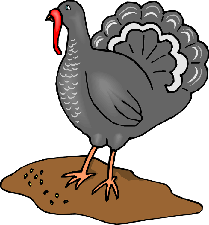 Cartoon Turkeyon Dirt Mound PNG Image