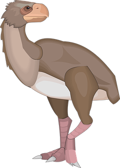 Cartoon Vulture Illustration PNG Image