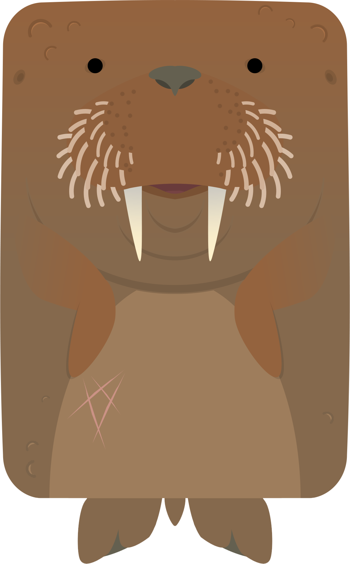 Cartoon Walrus Illustration PNG Image