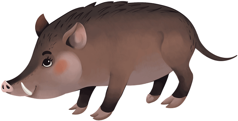 Cartoon Wild Boar Illustration PNG Image