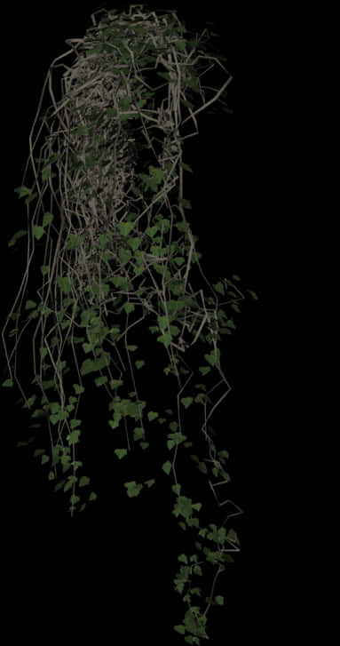 Cascading Green Vineson Black Background PNG Image