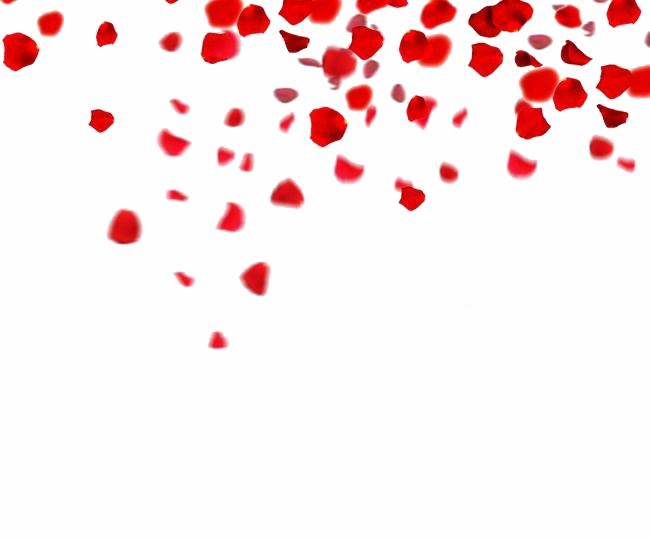 Cascading Red Rose Petals PNG Image