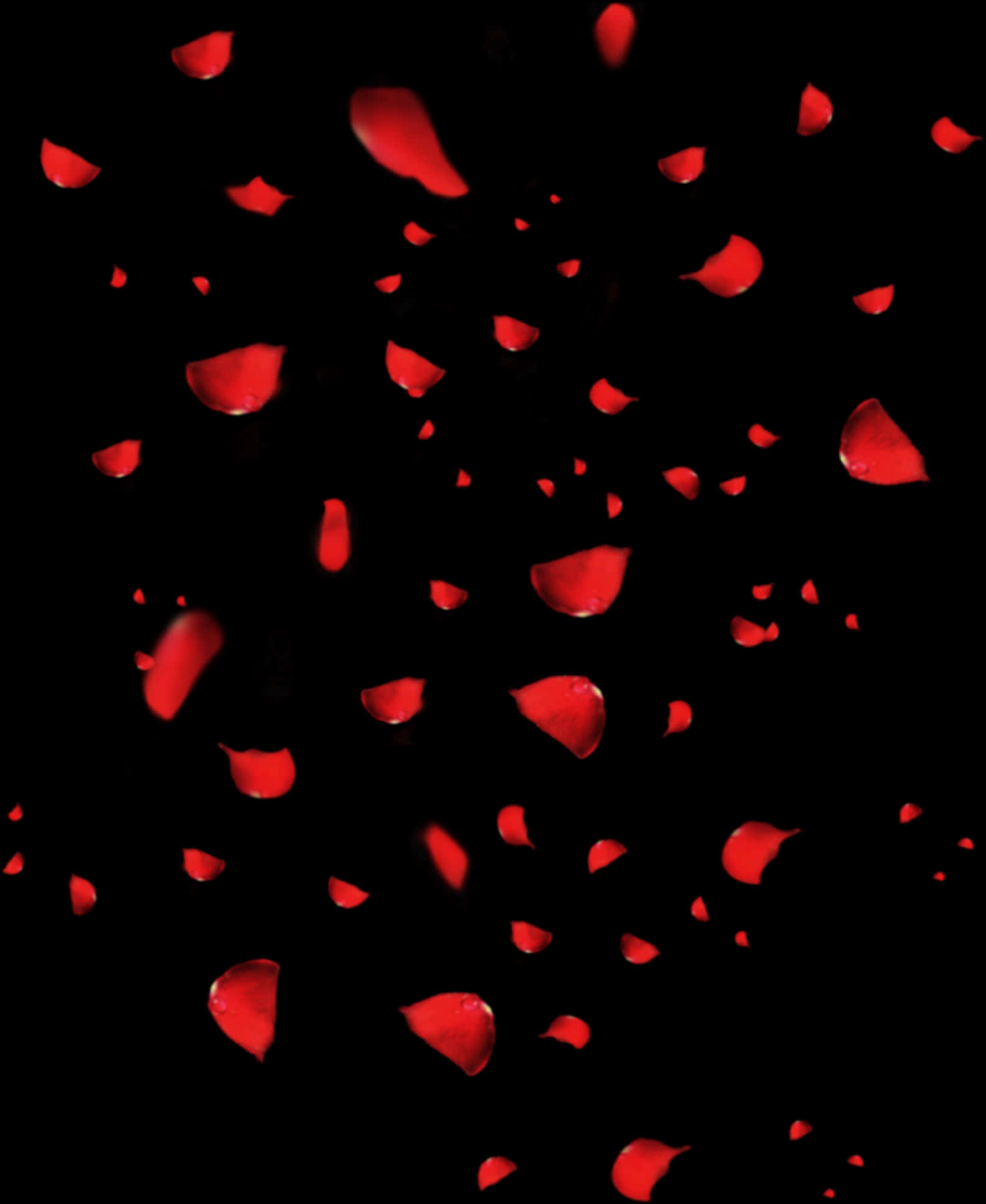 Cascading Red Rose Petals PNG Image