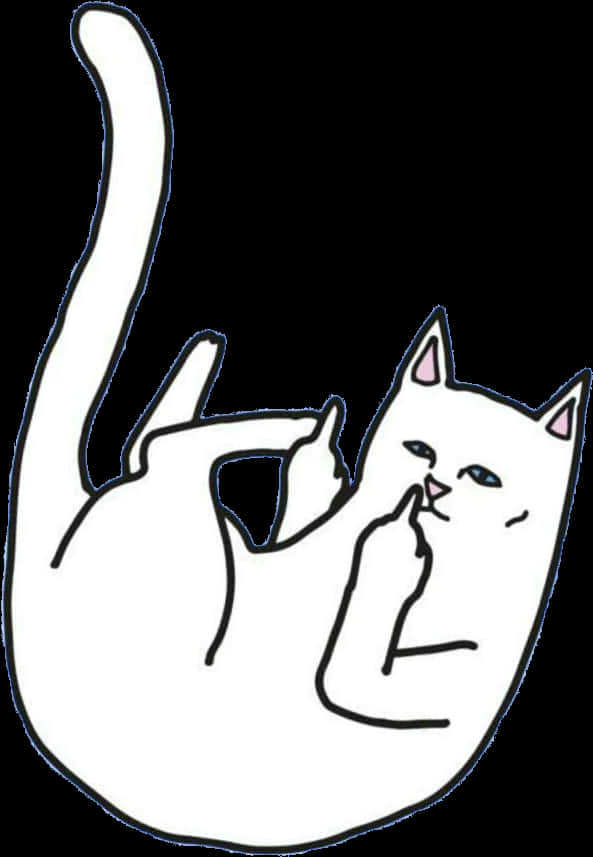 Cat Giving Middle Finger PNG Image