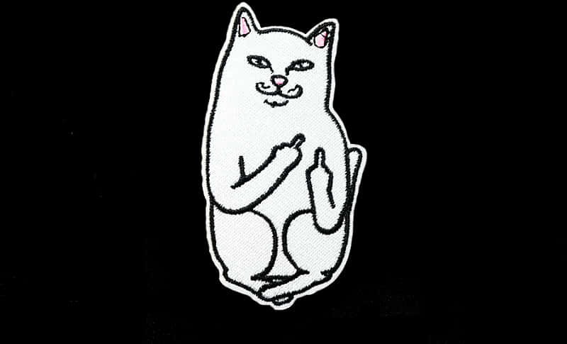 Cat Patch Giving Middle Finger PNG Image