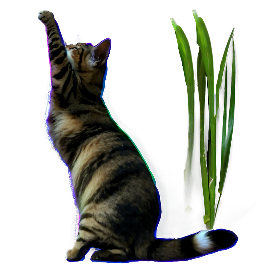 Cat Tail Movement Png D PNG Image