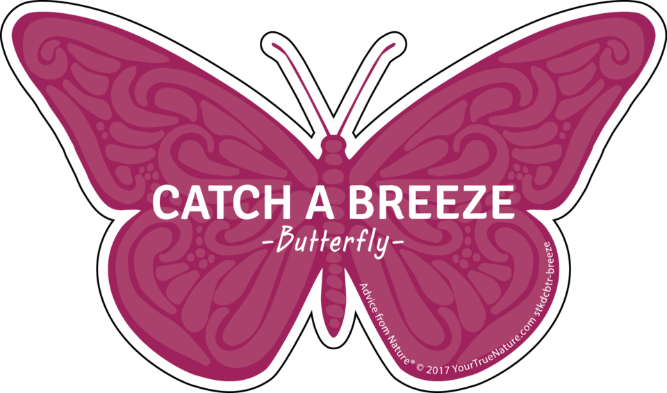 Catch A Breeze Butterfly Graphic PNG Image