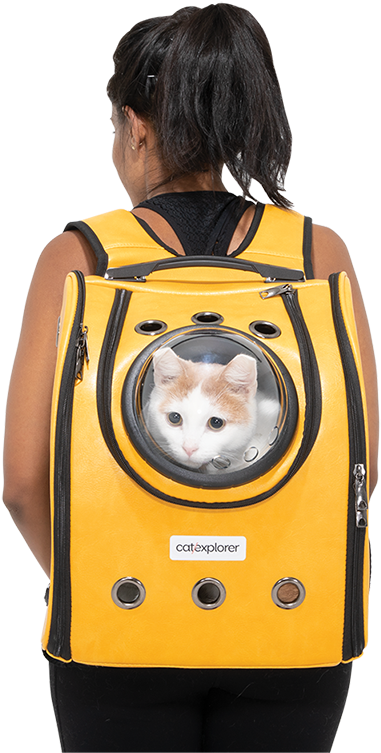 Catin Backpack Window PNG Image